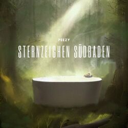 Cover of Sternzeichen Südbaden