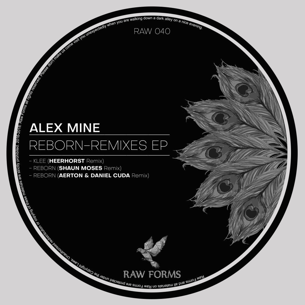 Picture of Reborn EP - Remixes
