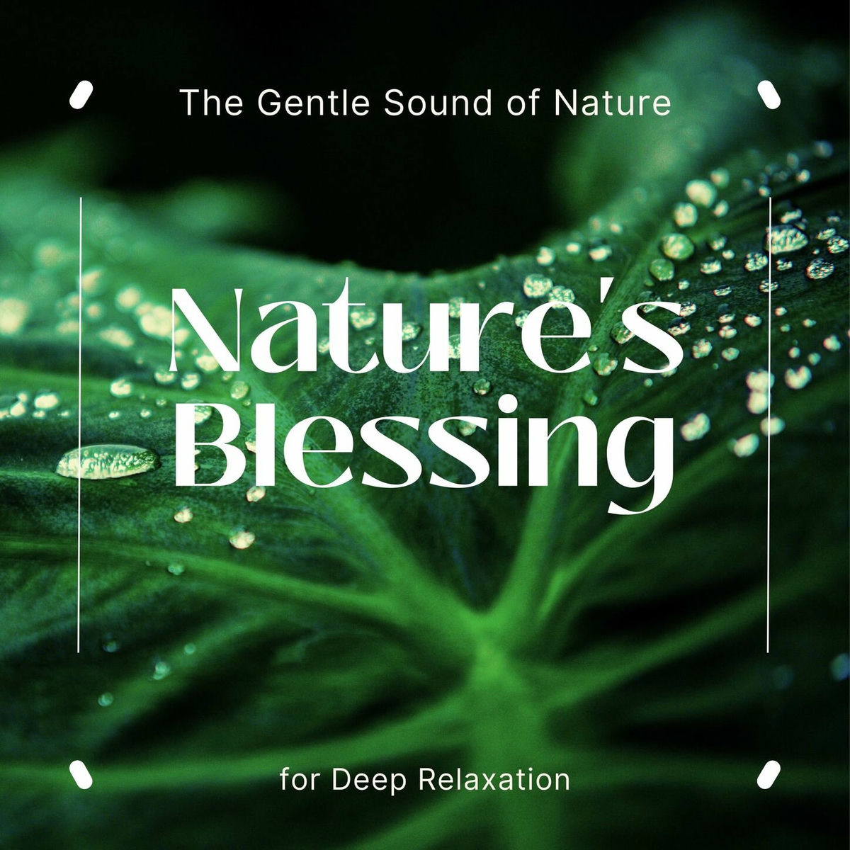 Album cover of Nature's Blessing - The Gentle Sound of Nature for Deep Relaxation