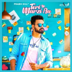 Cover of Teri Marzi Aa