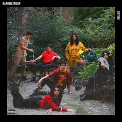 Cover of Garden Spider