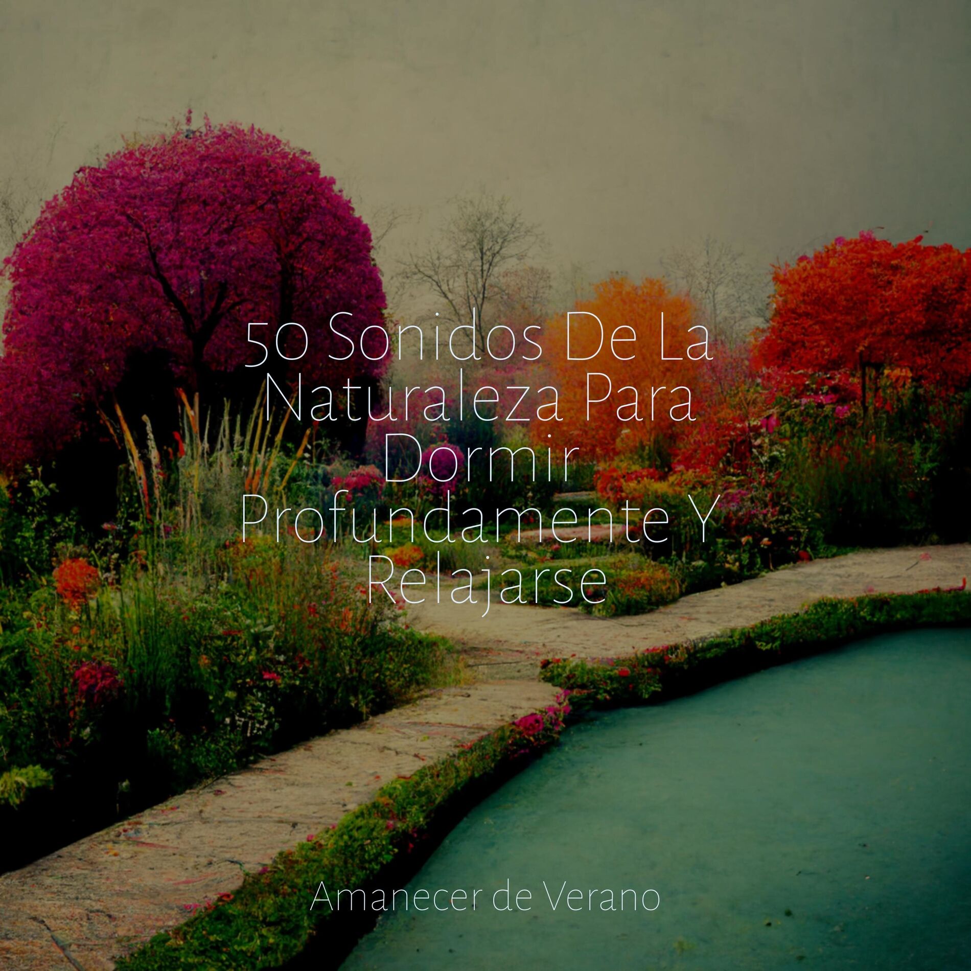 Album cover of 50 Sonidos De La Naturaleza Para Dormir Profundamente Y Relajarse