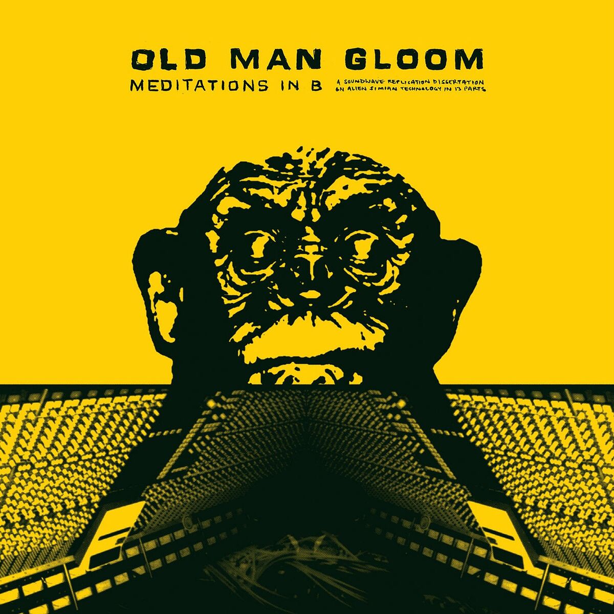 Album cover of Rotten Primate