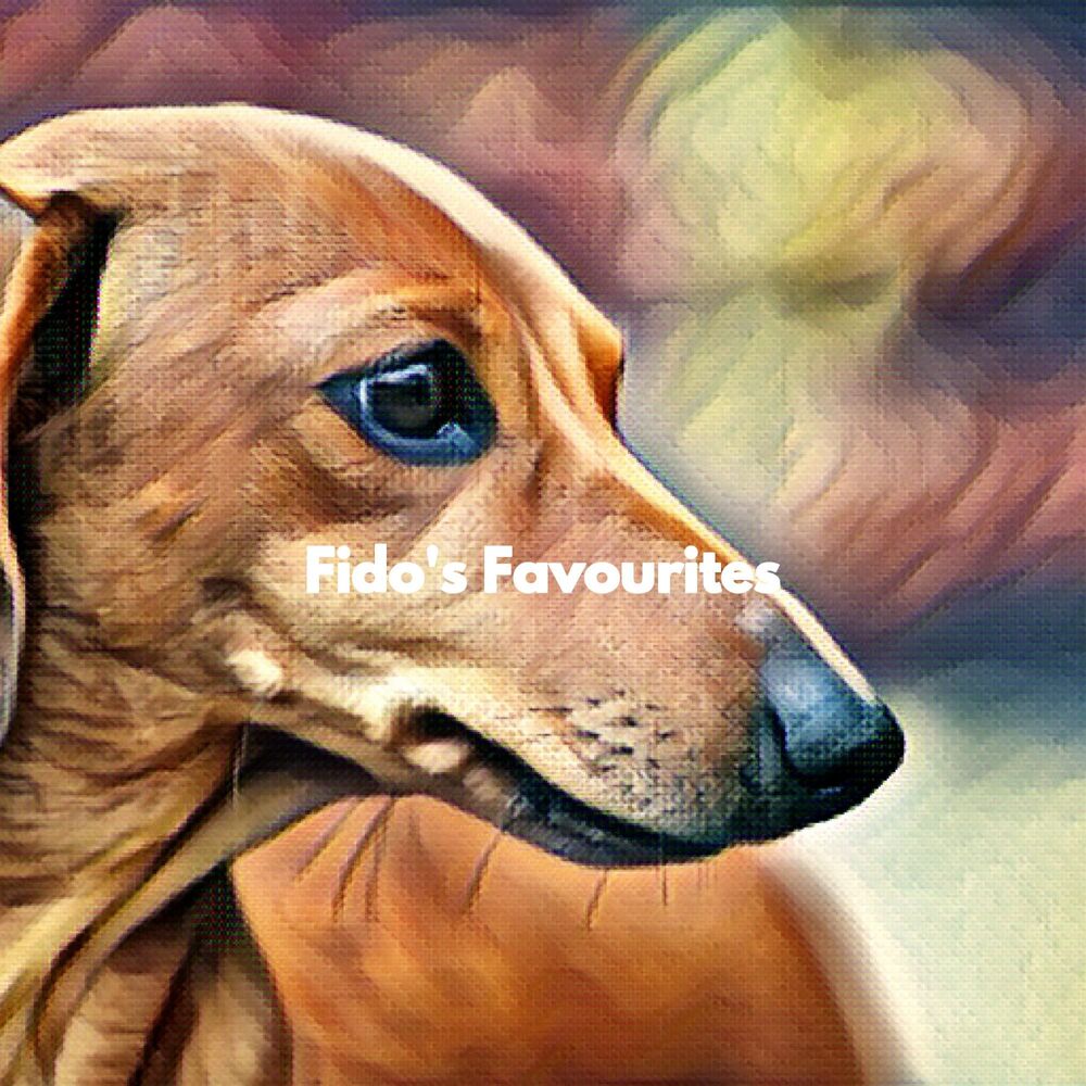 Picture of Fido's Favourites