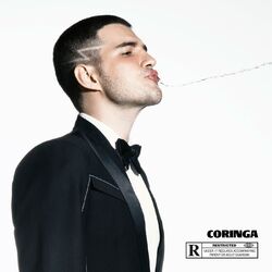Cover of Coringa