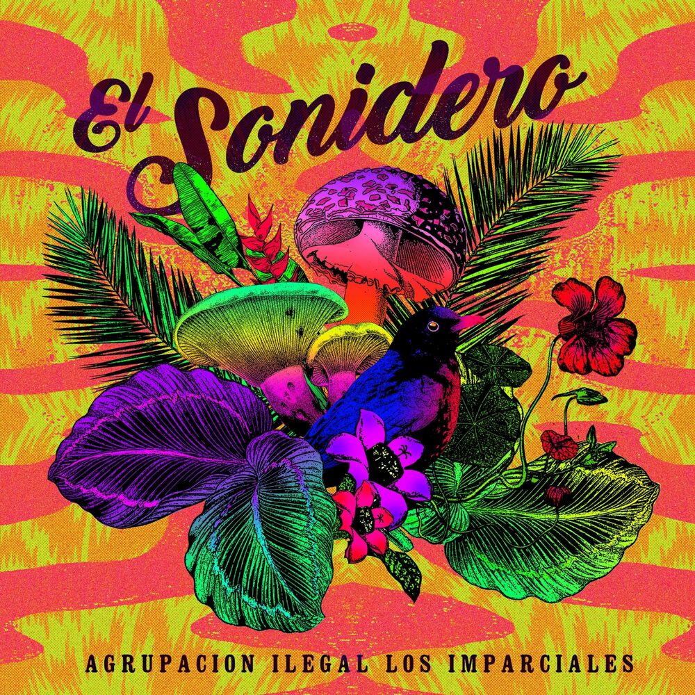 Picture of El Sonidero