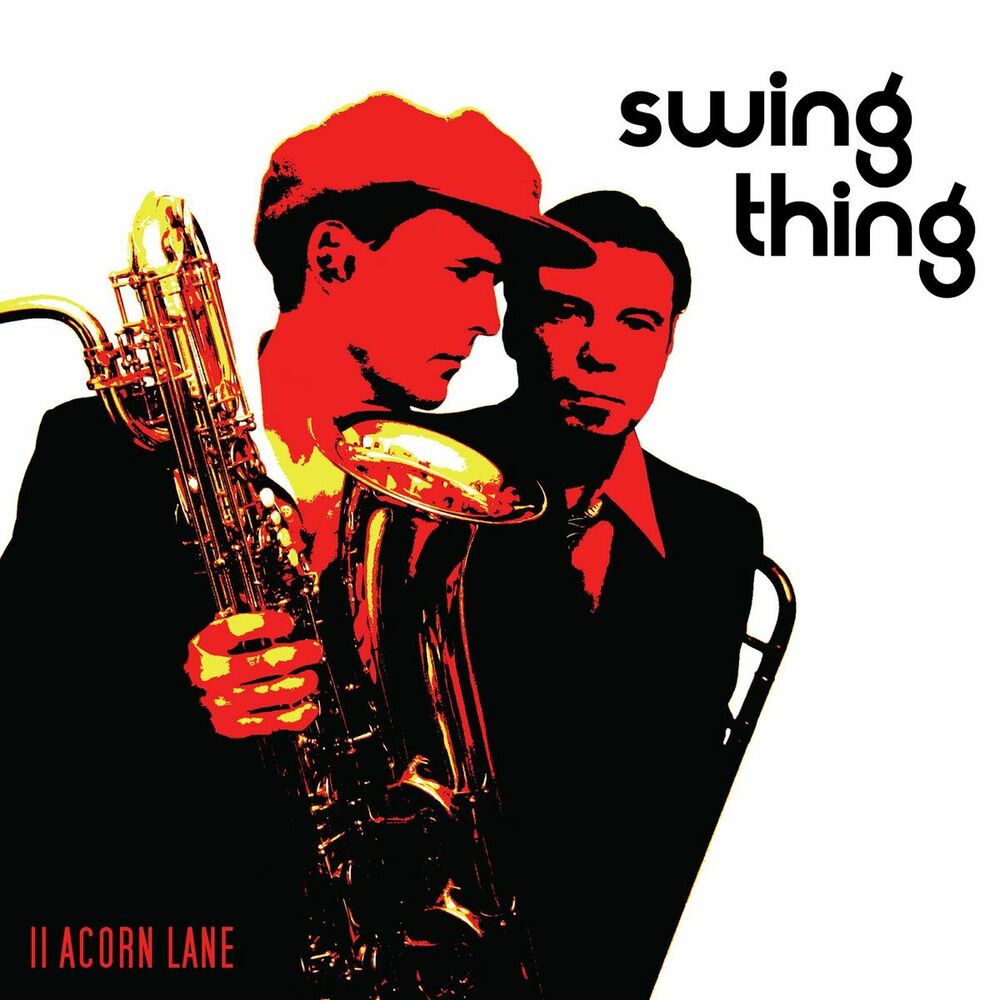 Picture of Swing Thing