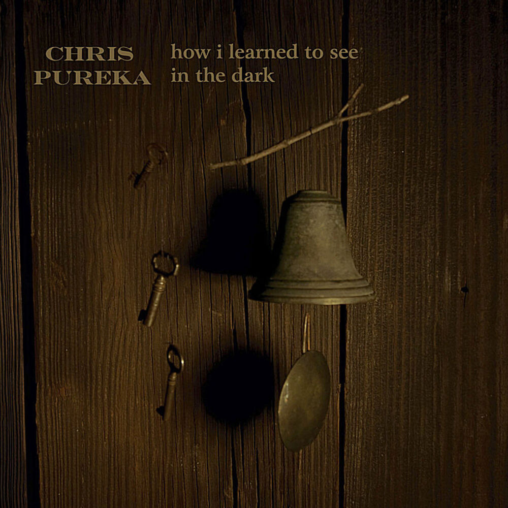 Picture of How I Learned to See in the Dark