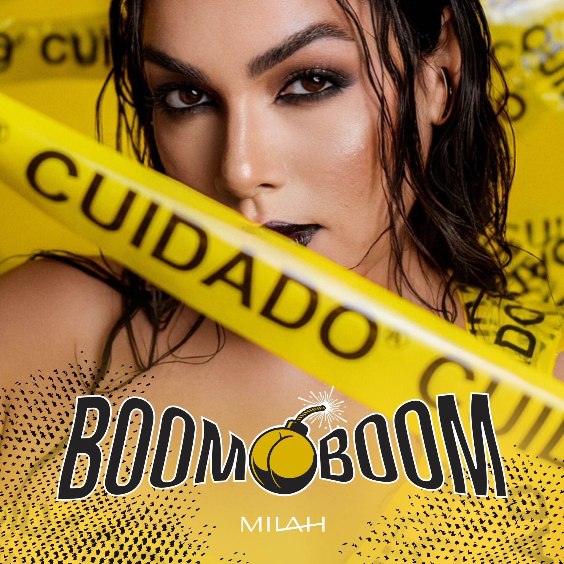 Album cover of Boom Boom