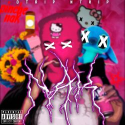 Cover of NAK