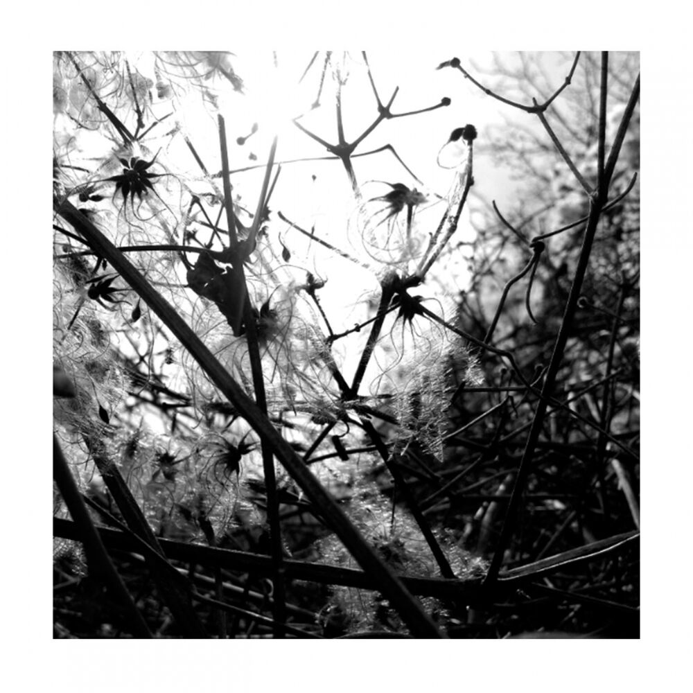 Picture of Irradiance