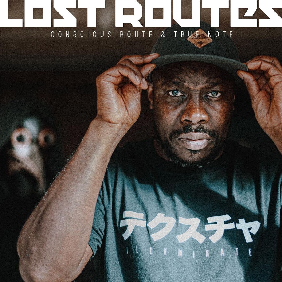 Album cover of Lost Routes