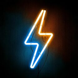 Cover of WAVES