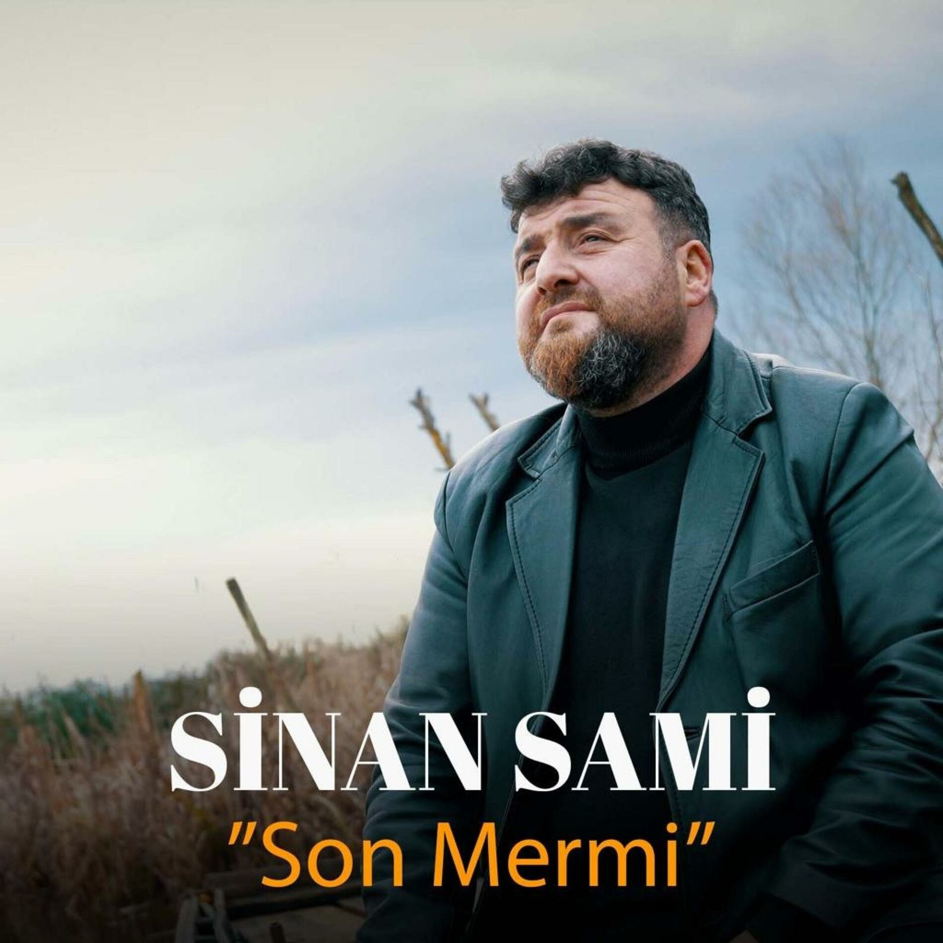 Album cover of Son Mermi