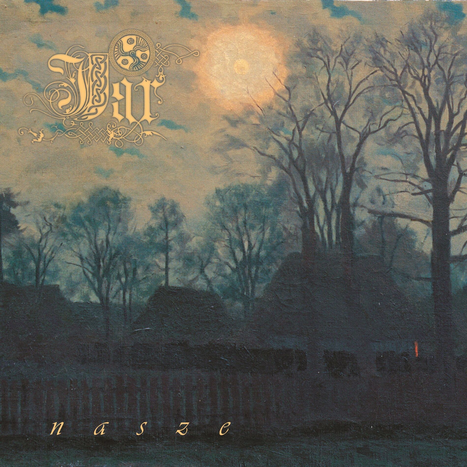 Album cover of nasze