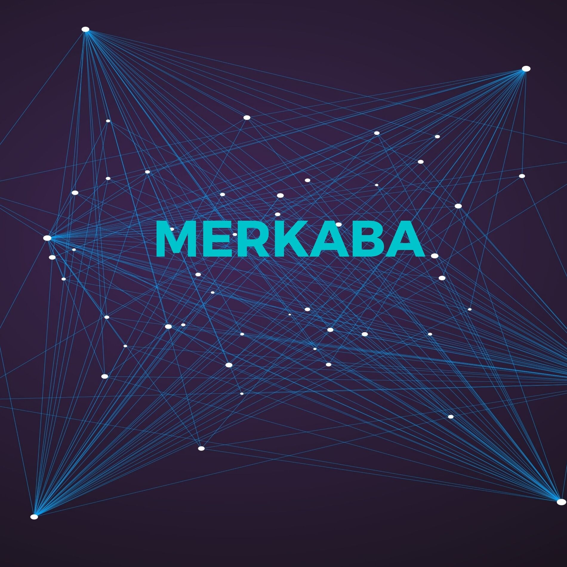 Album cover of MERKABA