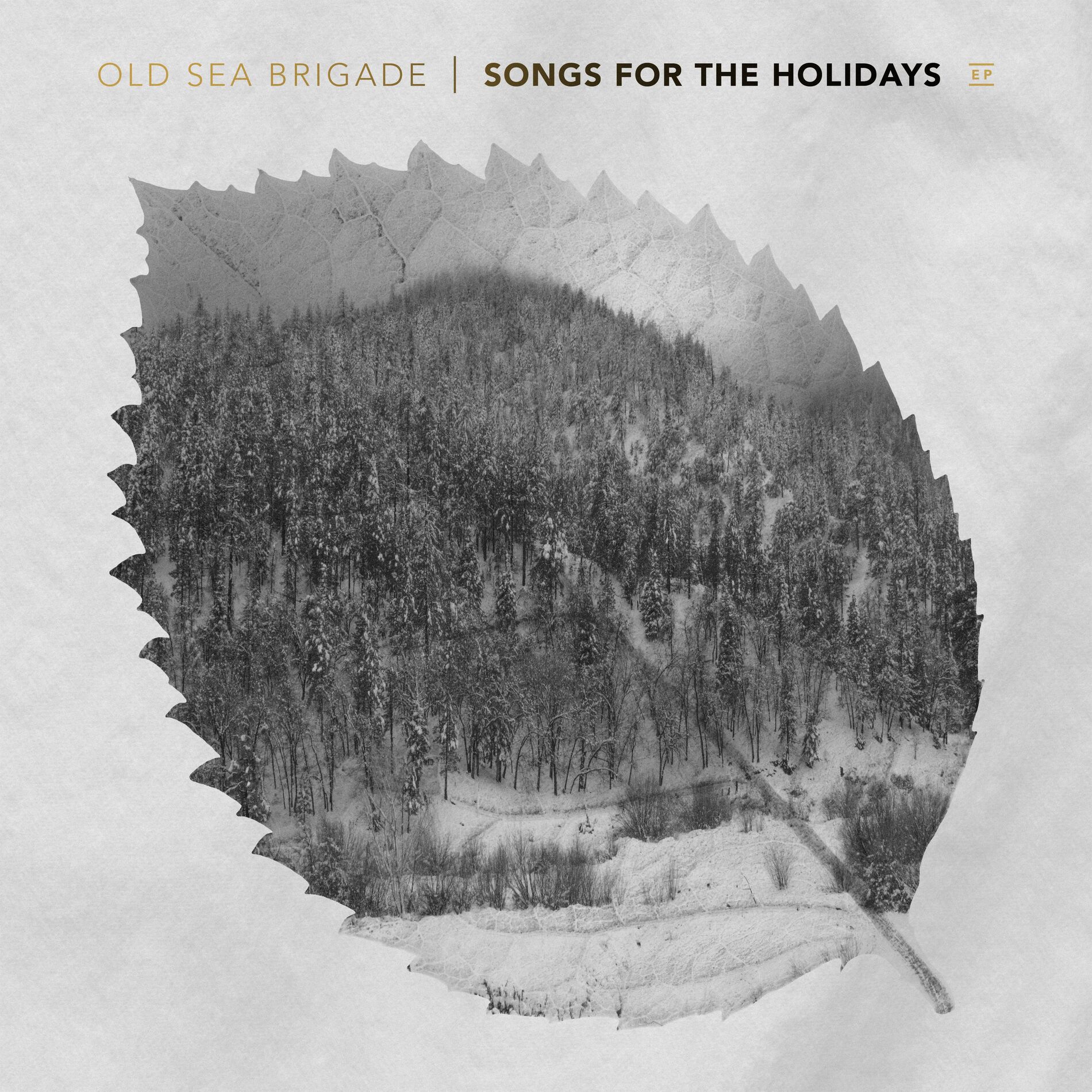 Album cover of Songs for the Holidays