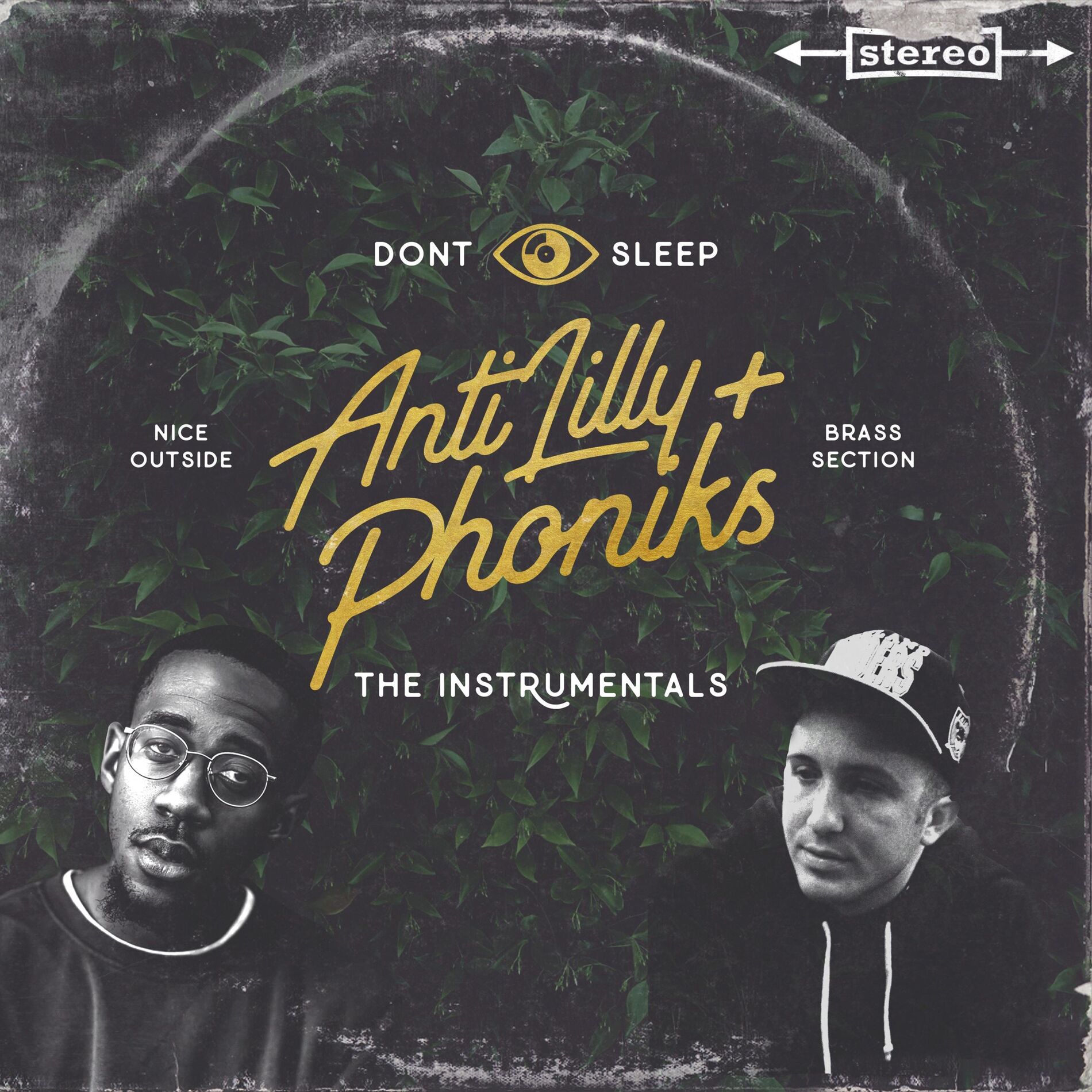Album cover of The Instrumentals