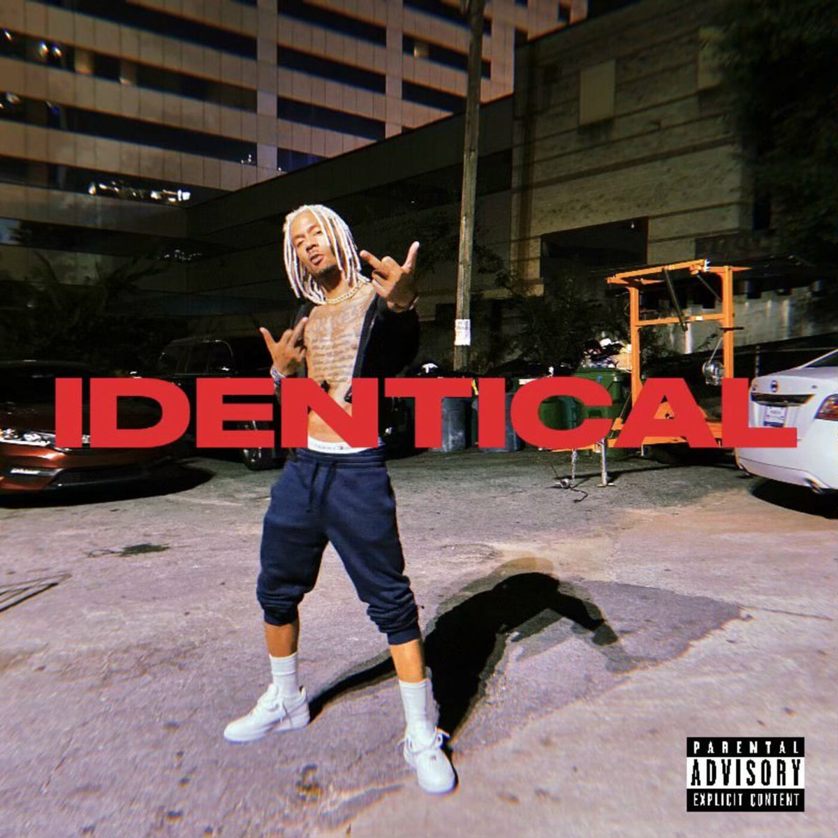 Album cover of Identical
