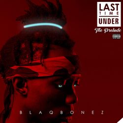 Cover of Last Time Under