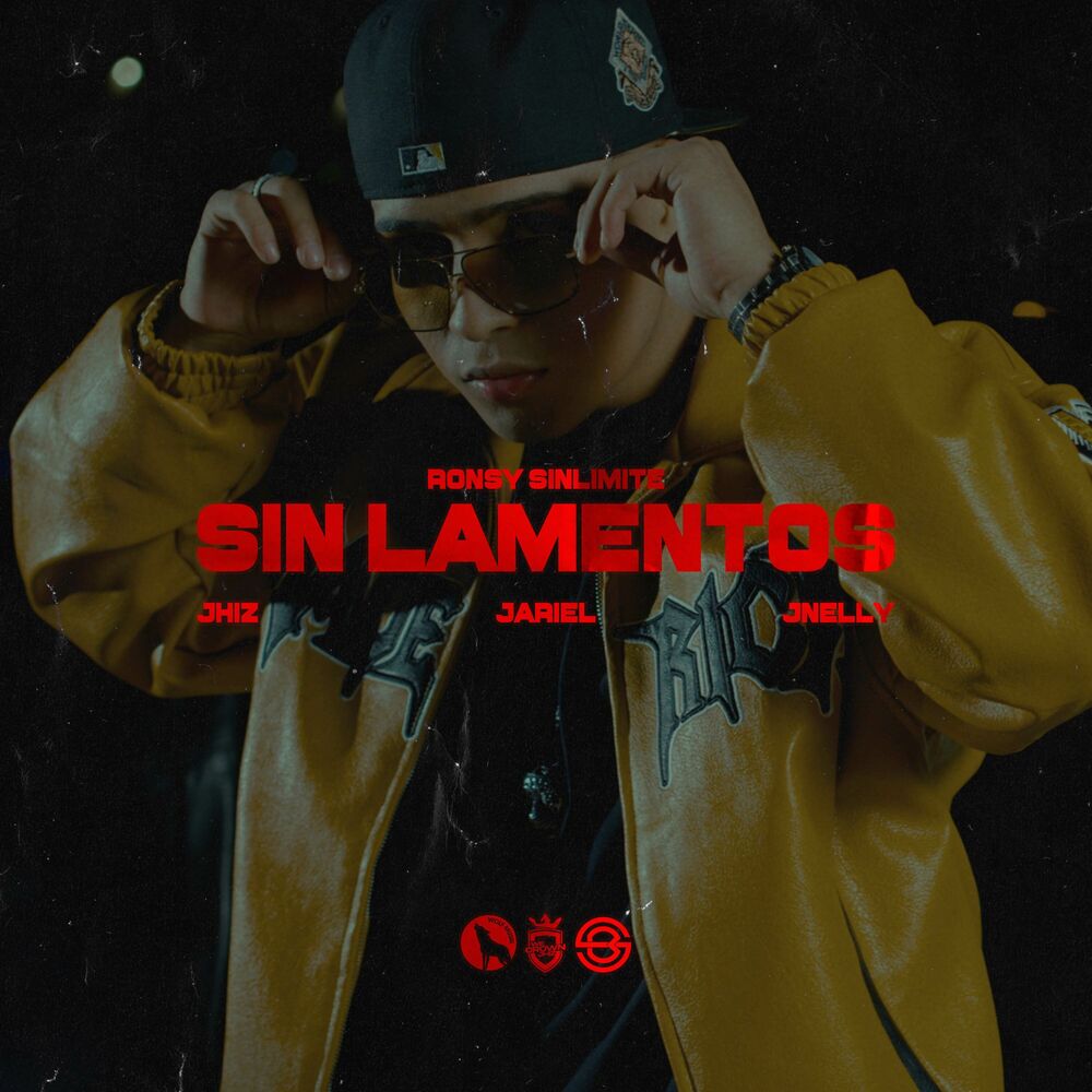 Picture of Sin Lamentos