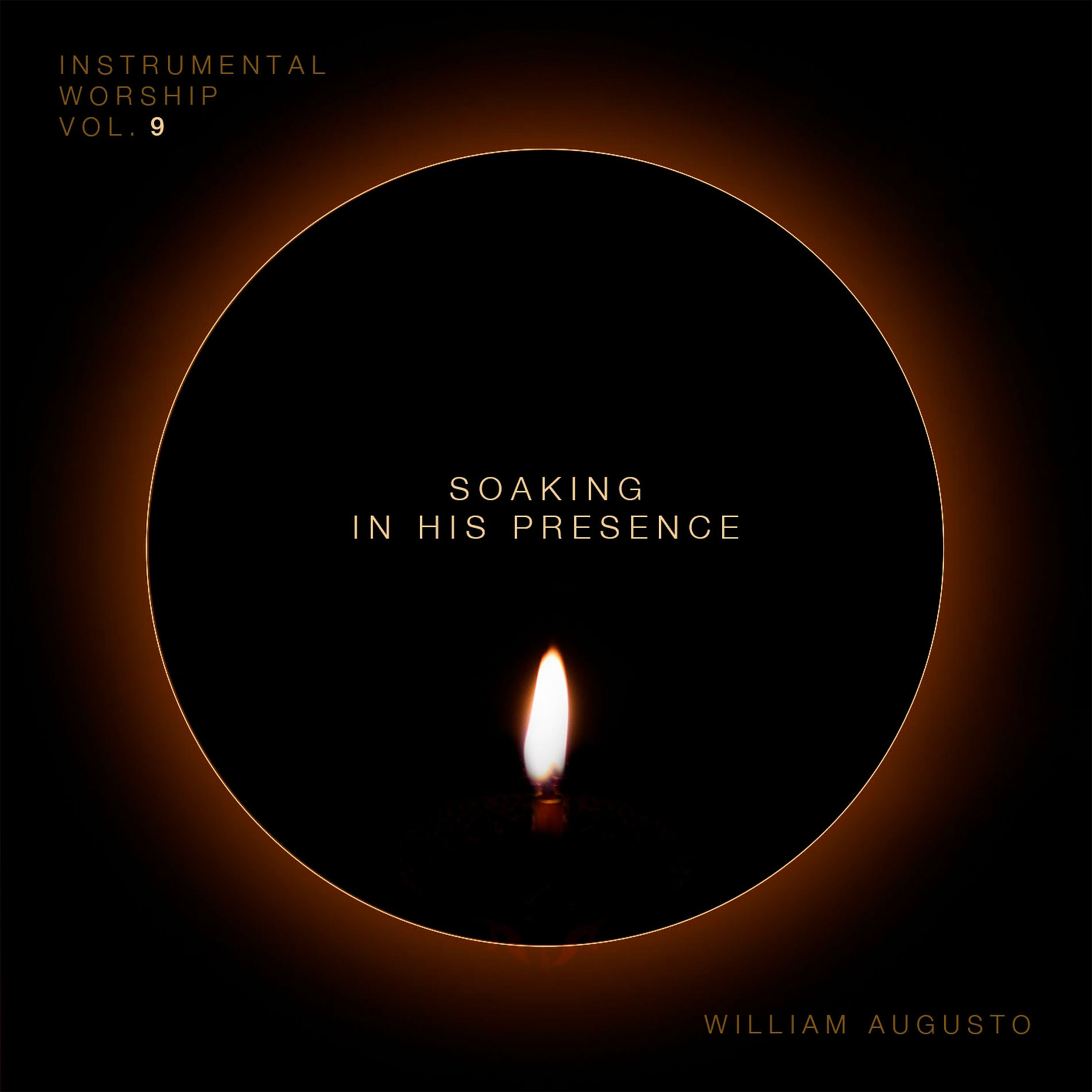 Album cover of Soaking in His Presence, Vol. 09