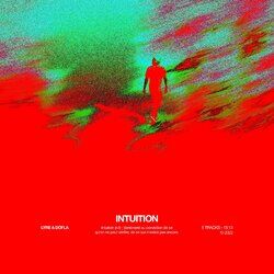 INTUITION
