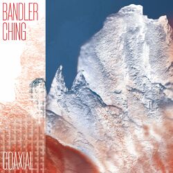 Cover of Coaxial