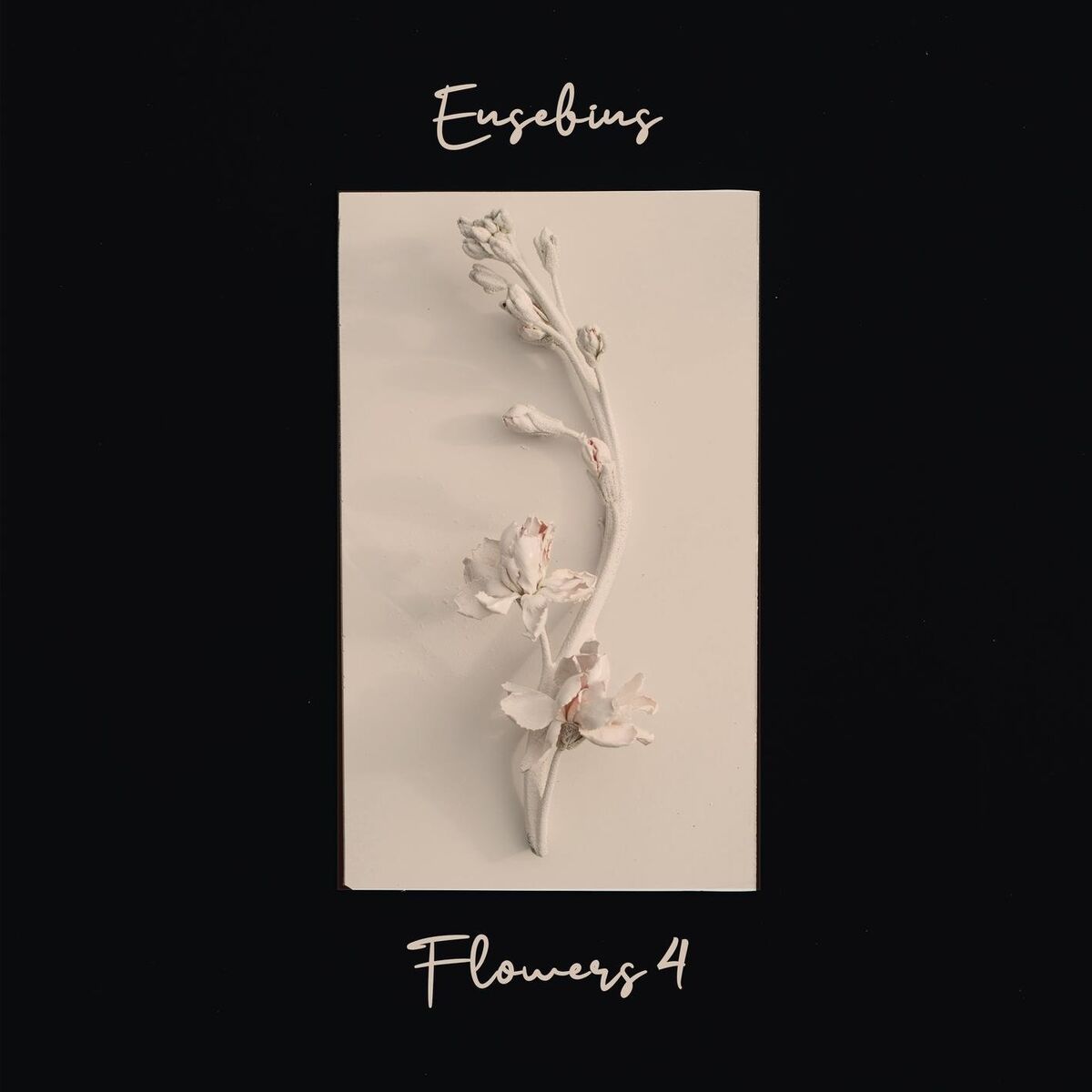 Album cover of Snowdrop