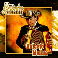 Cover of Mis Más Grandes Éxitos