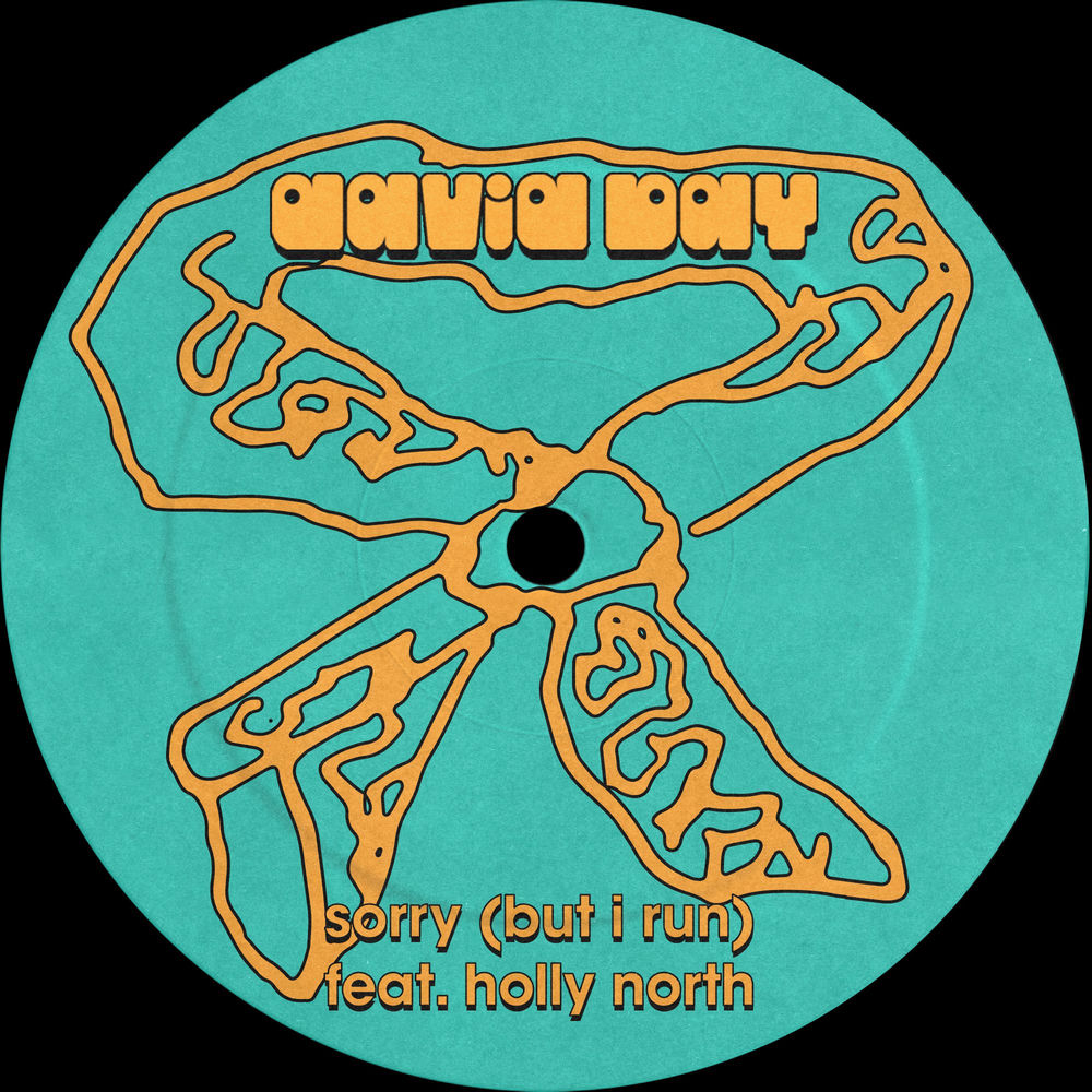 Album artwork for sorry (but i run) by David Bay