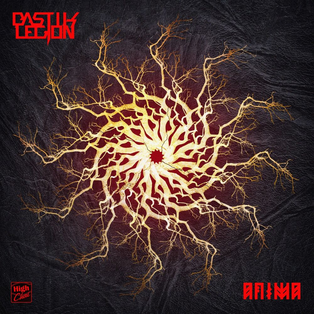 Picture of Anima