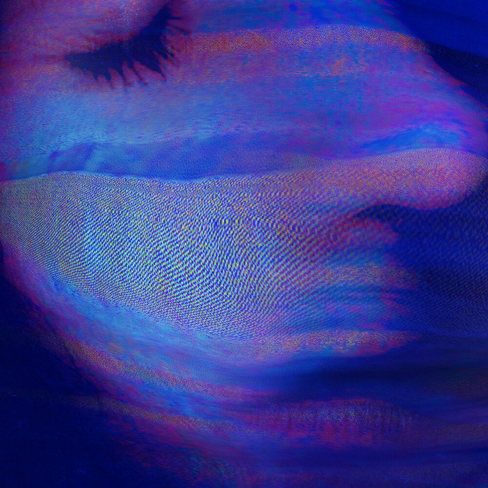 Picture of Log