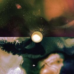 Cover of Panopticon