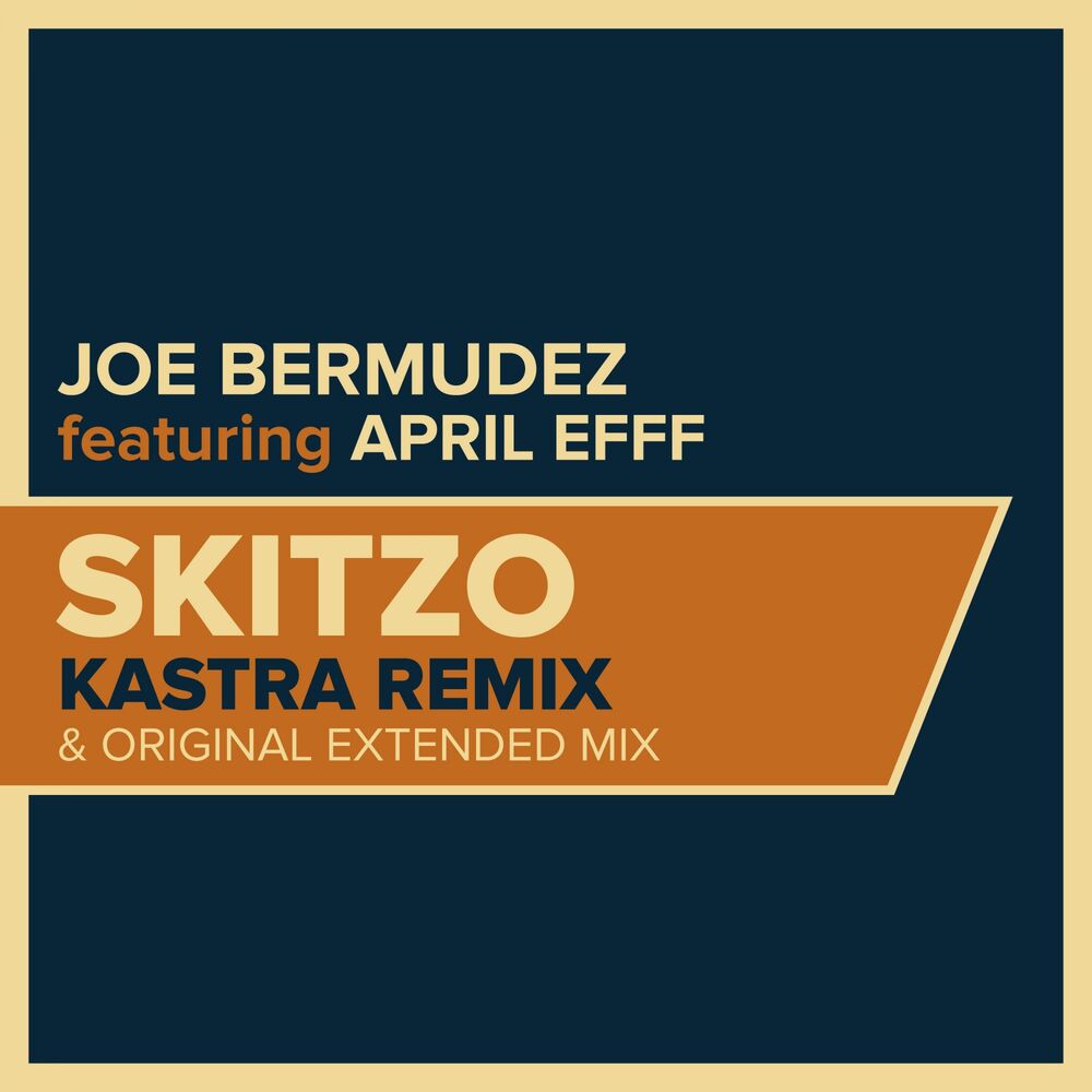 Picture of Skitzo (Remixes)