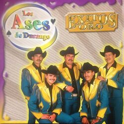 Cover of Exitos de Oro