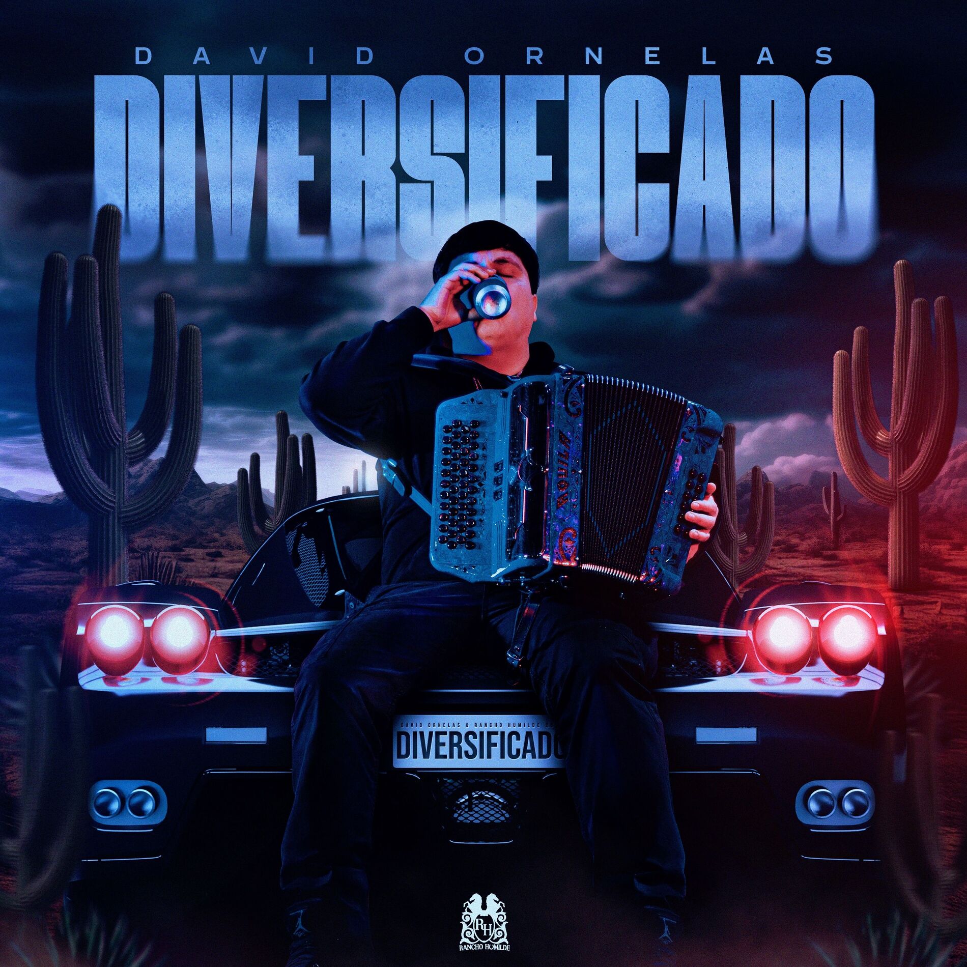 Album cover of Diversificado