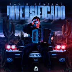 Diversificado