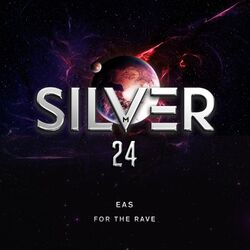 Cover of For the Rave
