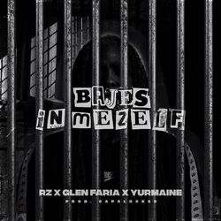 Cover of Bajes in Mezelf