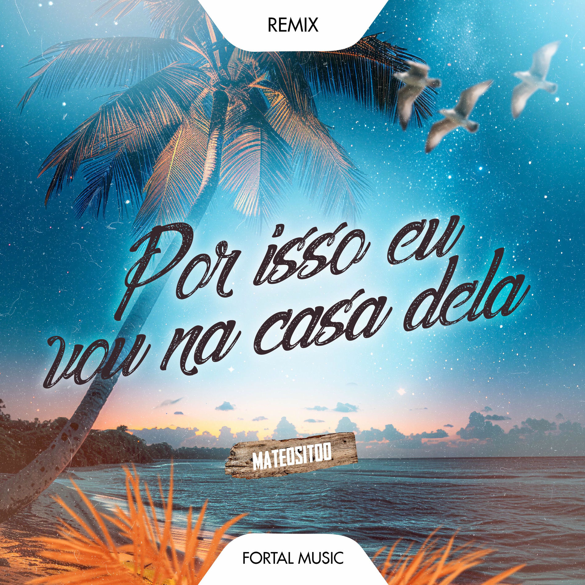 Album cover of Por Isso Eu Vou Na Casa Dela (Remix)