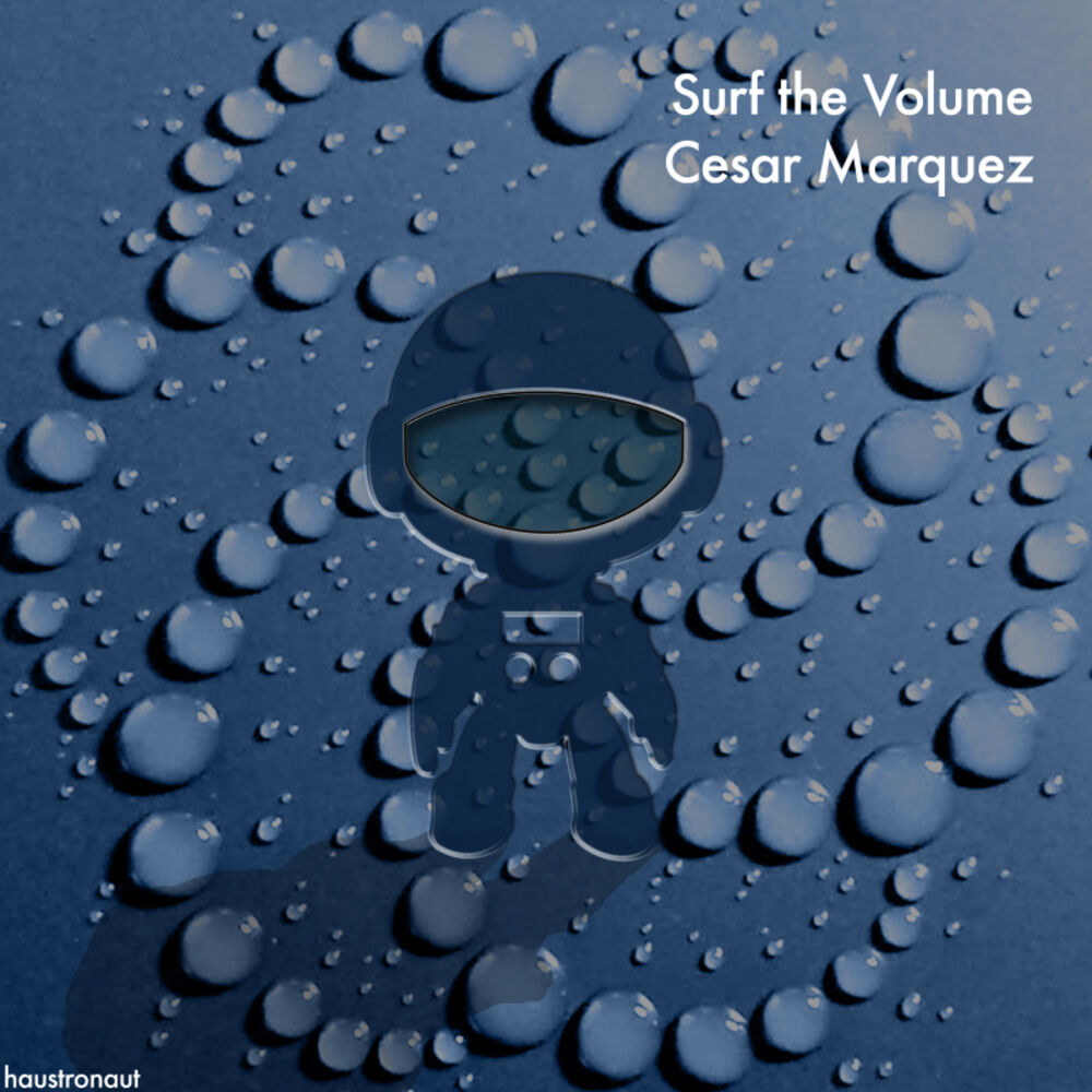 Picture of Surf the Volume