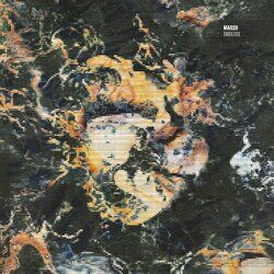 Cover of Endless