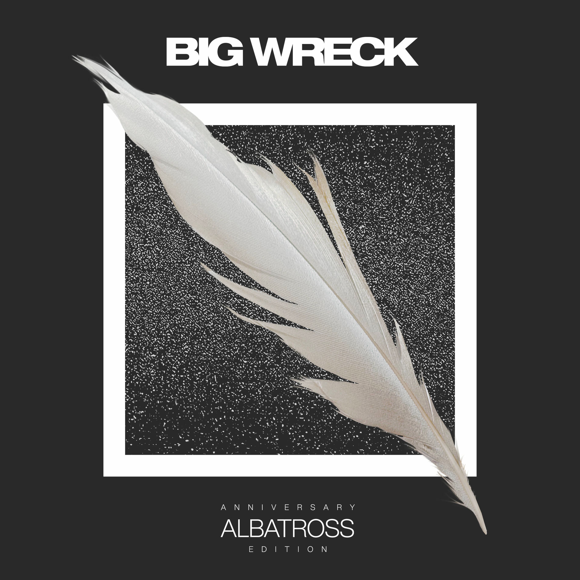 Album cover of Albatross (Anniversary Edition)