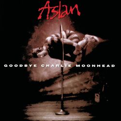 music cover