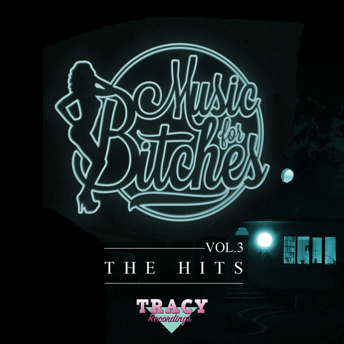 Album cover of Music for Bitches Vol.3 - The Hits