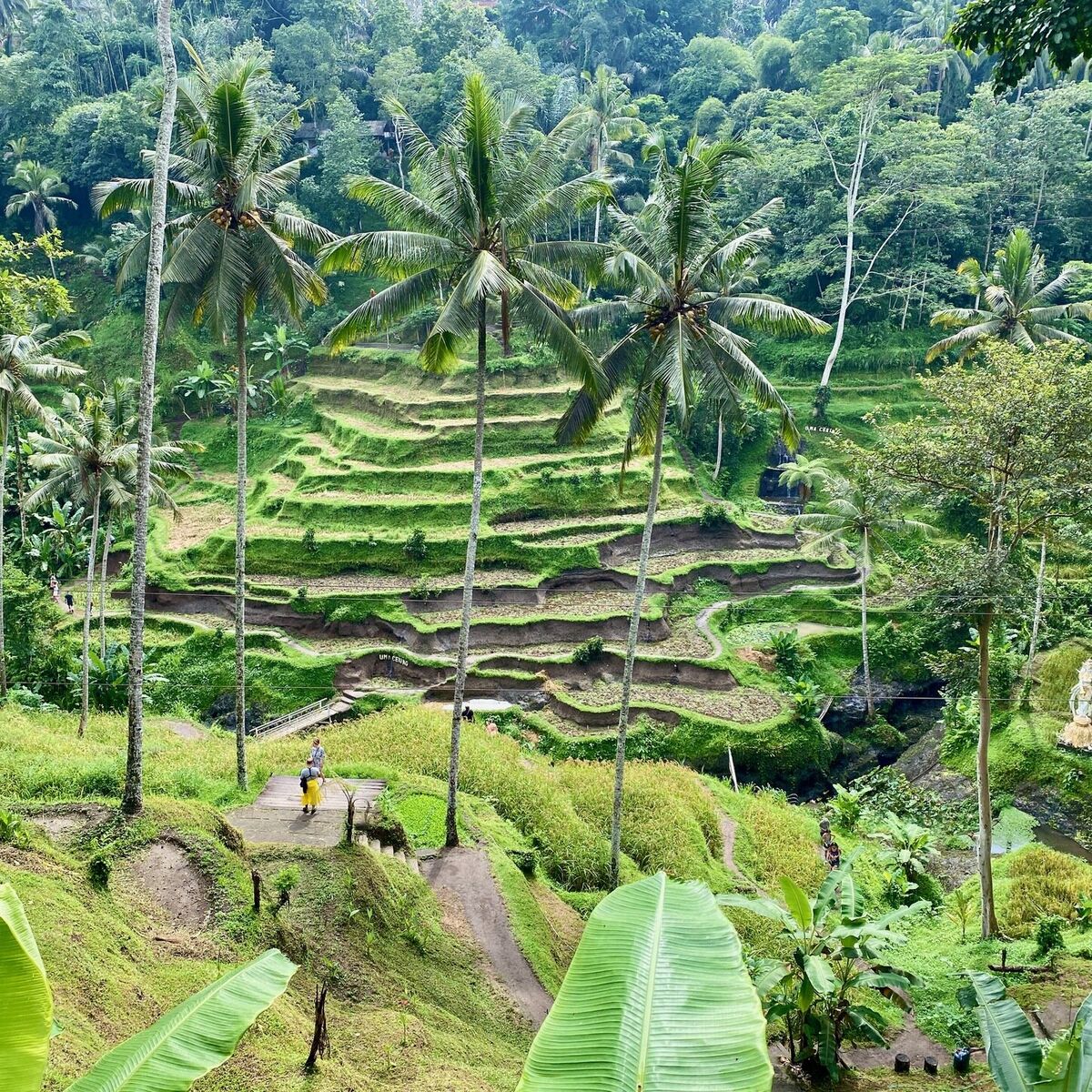 Album cover of Impressions of Bali
