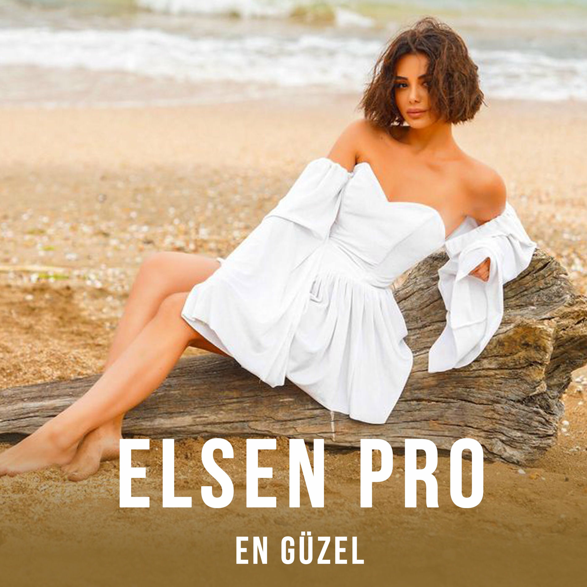 Album cover of En Güzel