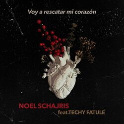 Cover of Voy a Rescatar Mi Corazón