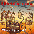 Why Did You Call ?